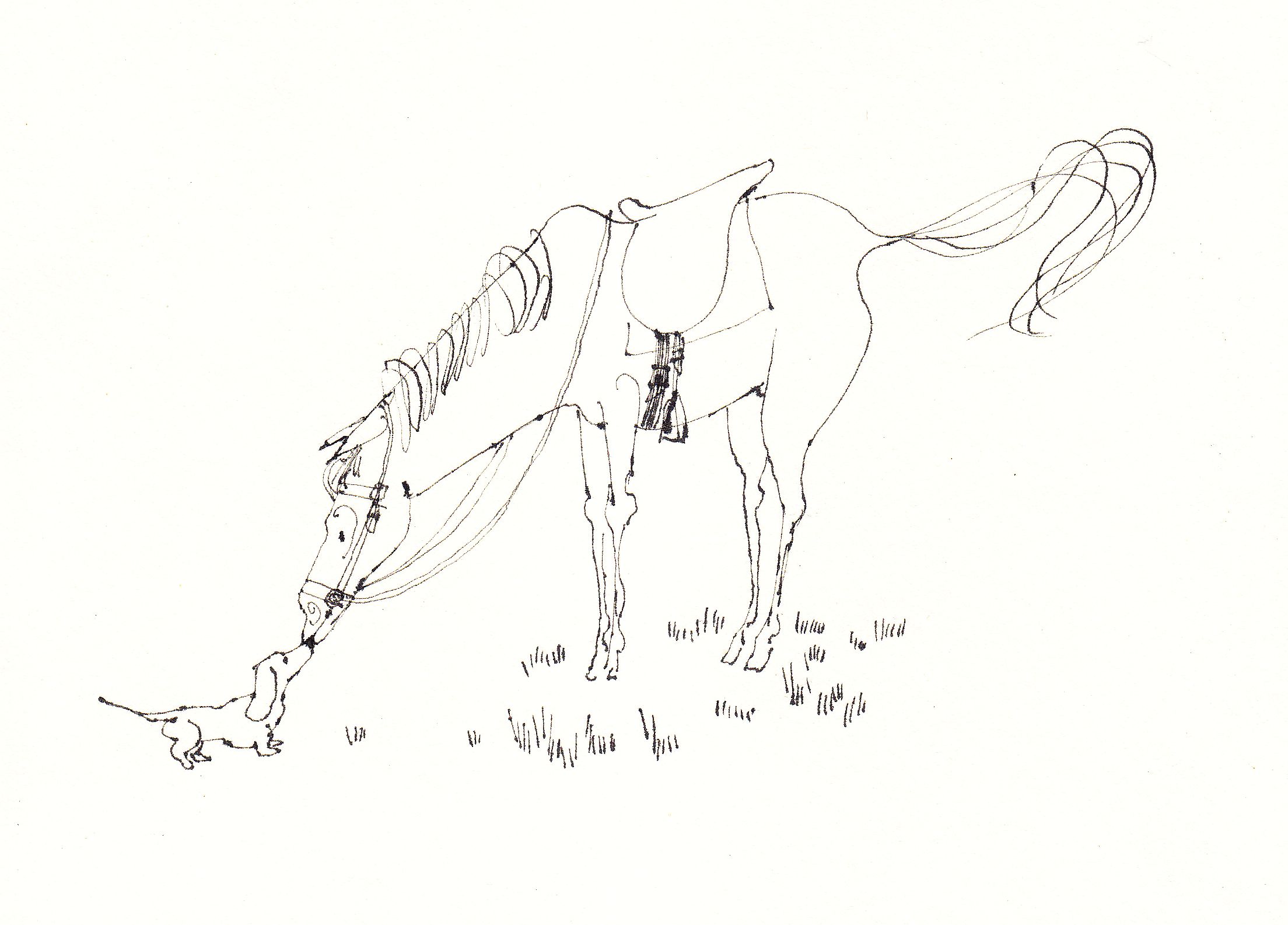 Dackel küsst Pferd, Tuschzeichnung auf beigem Zeichenkarton, um 1960/70-image