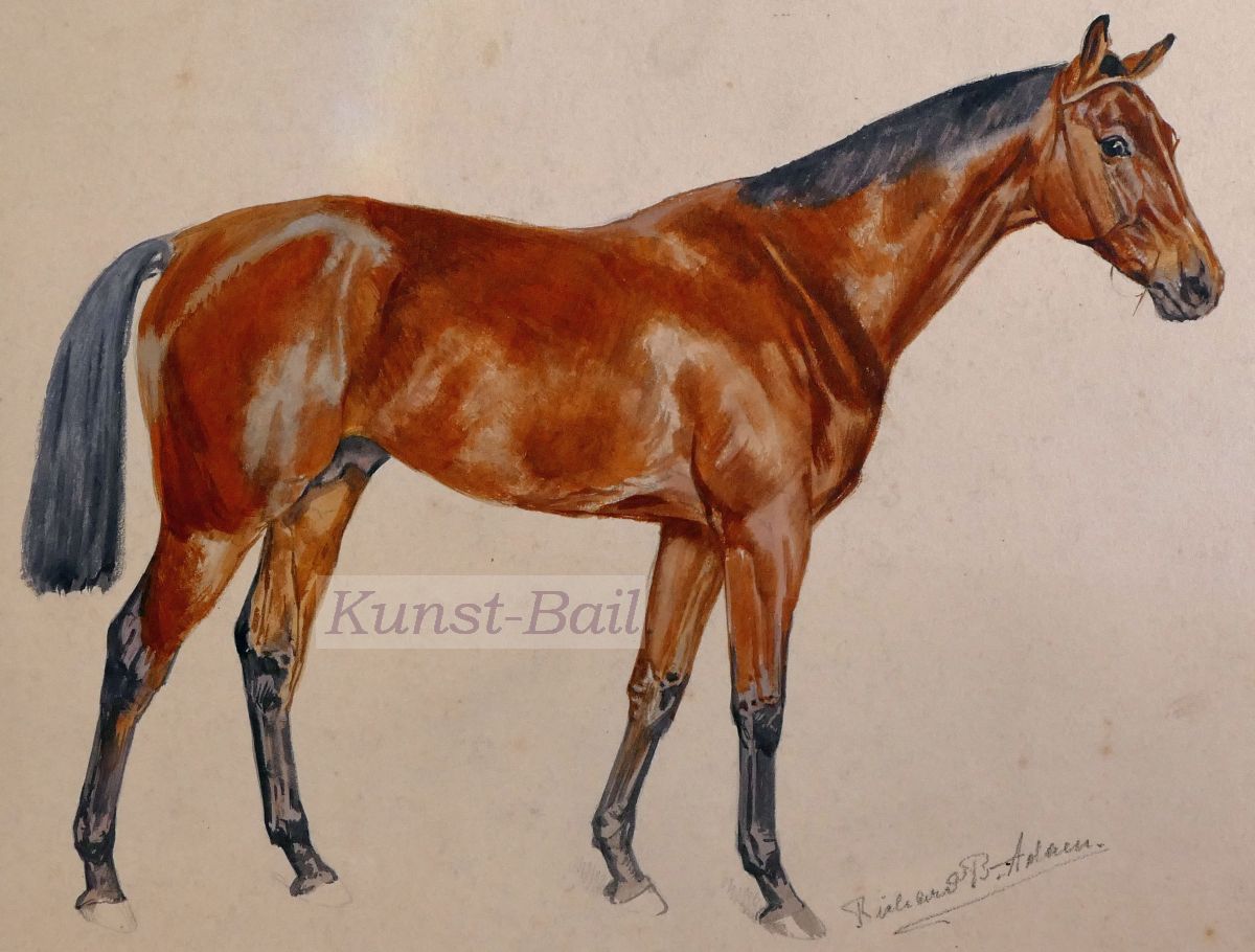 Richard Benno Adam, Pferdebildnis, Aquarell über Bleistift, um 1910-image