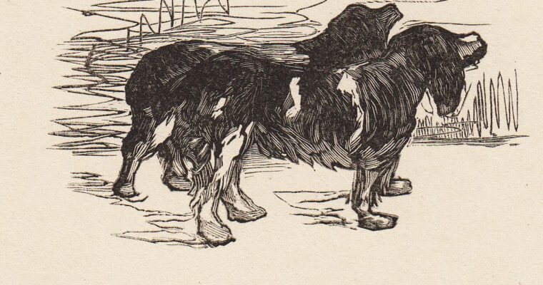 Max Liebermann, Zwei Hunde, Originalholzschnitt, signiert, 1913