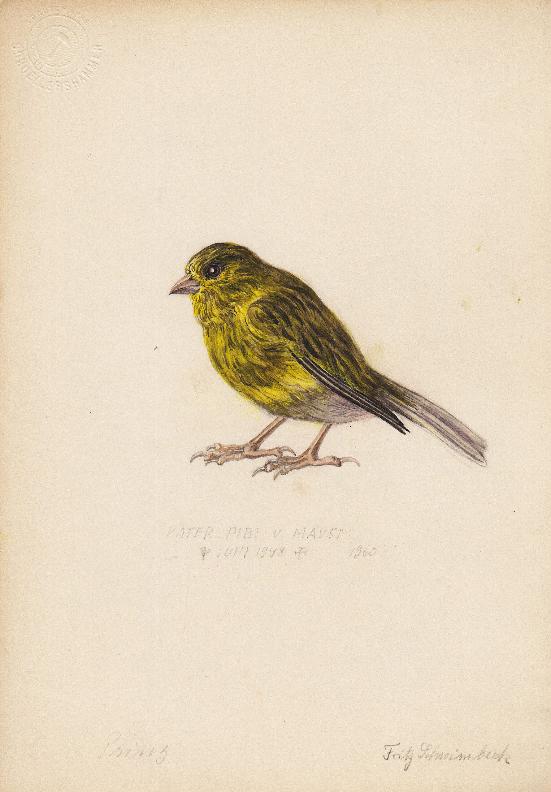 Fritz Schwimbeck, Vater Pibi, Aquarell über Bleistift, um 1950-image