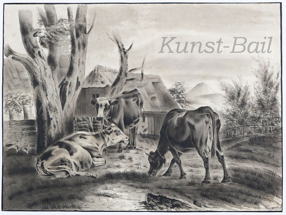 Quaglio, Kühe, Tusche, um 1800-image