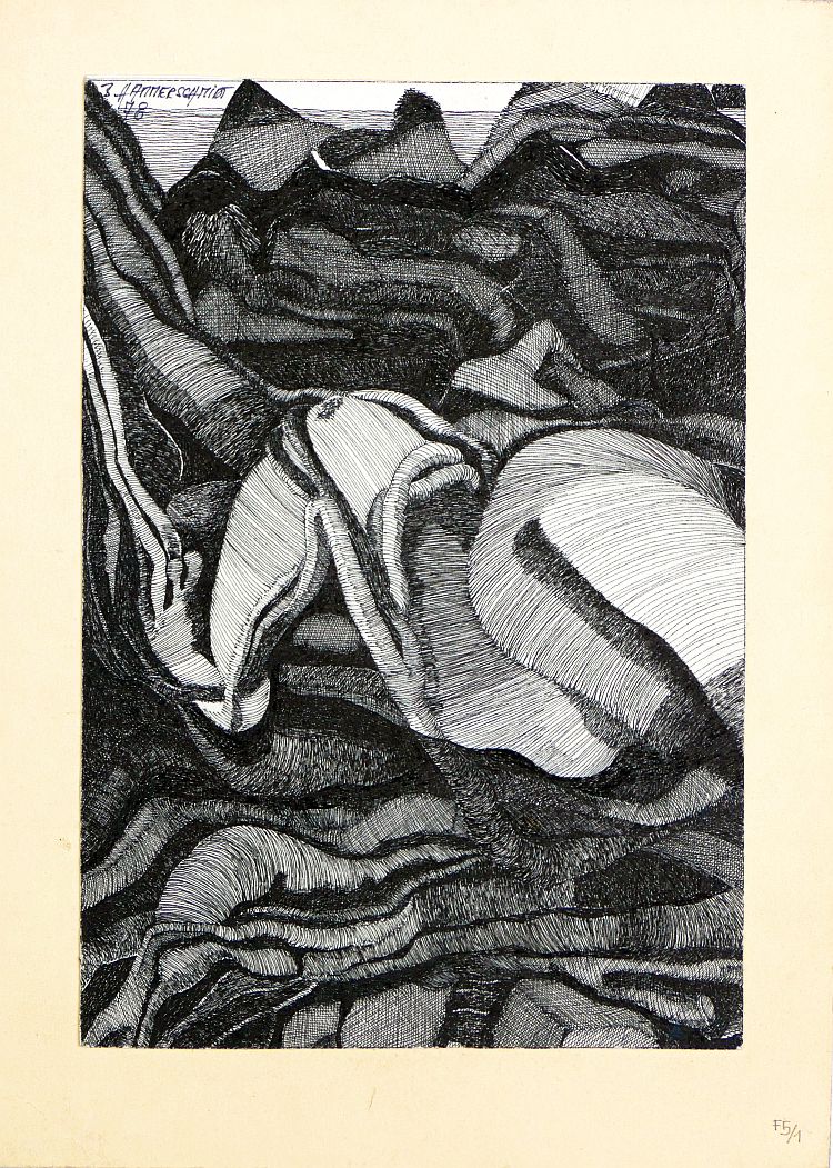 B. Hammerschmidt, ohne Titel (Gebirgslandschaft), Tuschfeder, signiert, 1978.-image