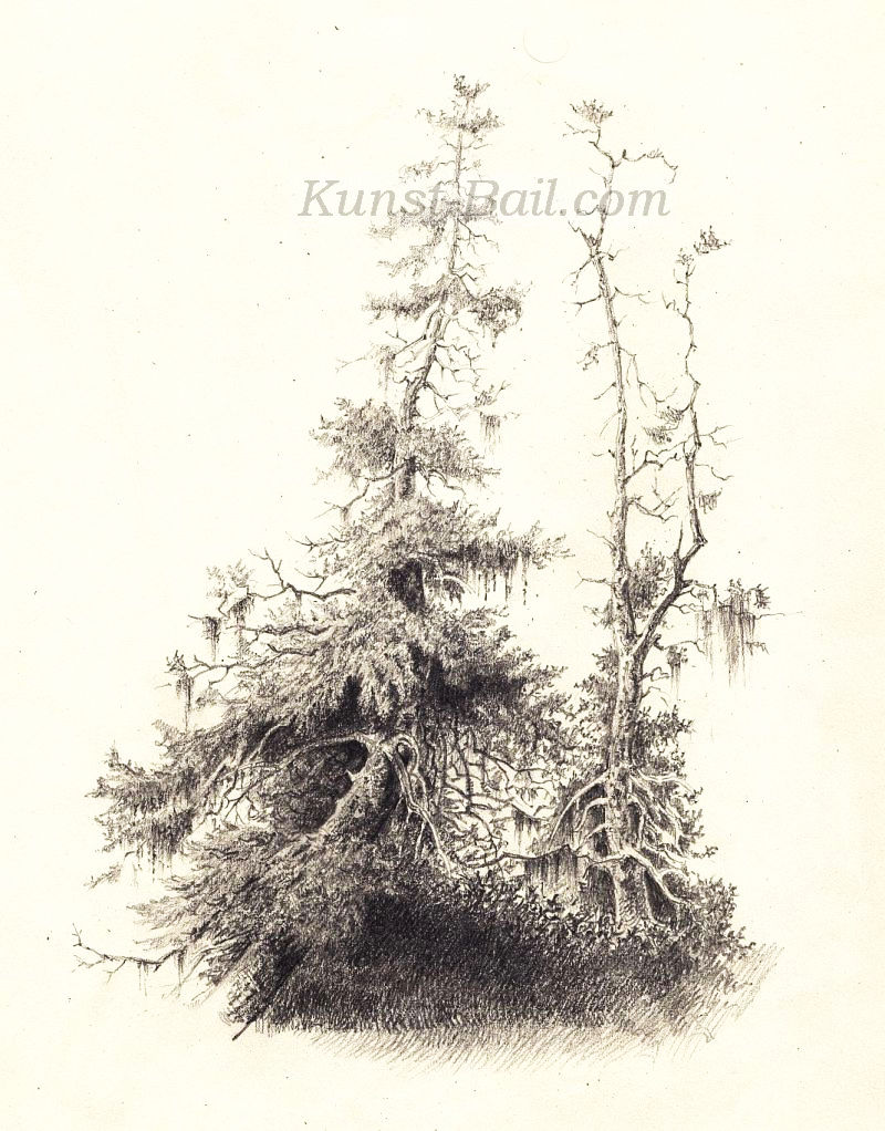 Unbekannter Künstler, Waldstück, Bleistift, um 1860/80.-image