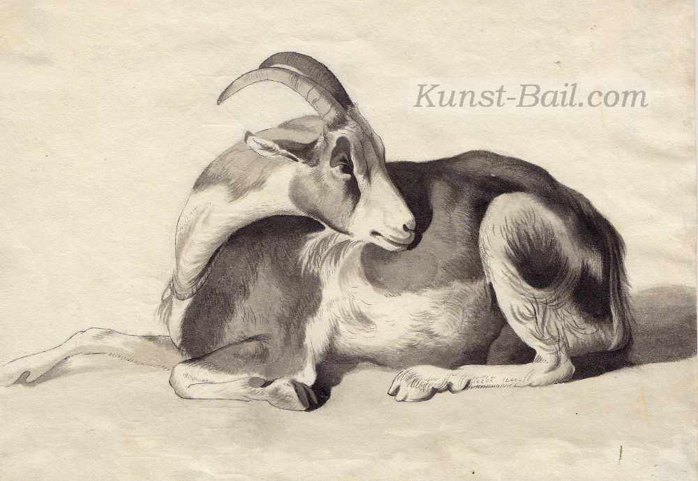 Unbekannter Künstler, liegender Ziegenbock, Tusche laviert, um 1830-image