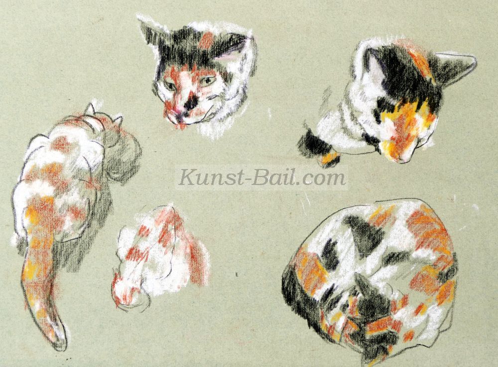 Paula Wimmer, Katzenstudien, Kohle, Farbkreide, wohl 1920er Jahre-image