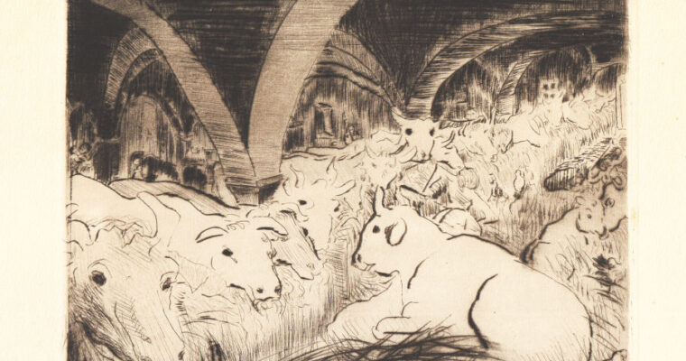 Paula Wimmer, Kühe im Stall, Radierung, signiert, 1930