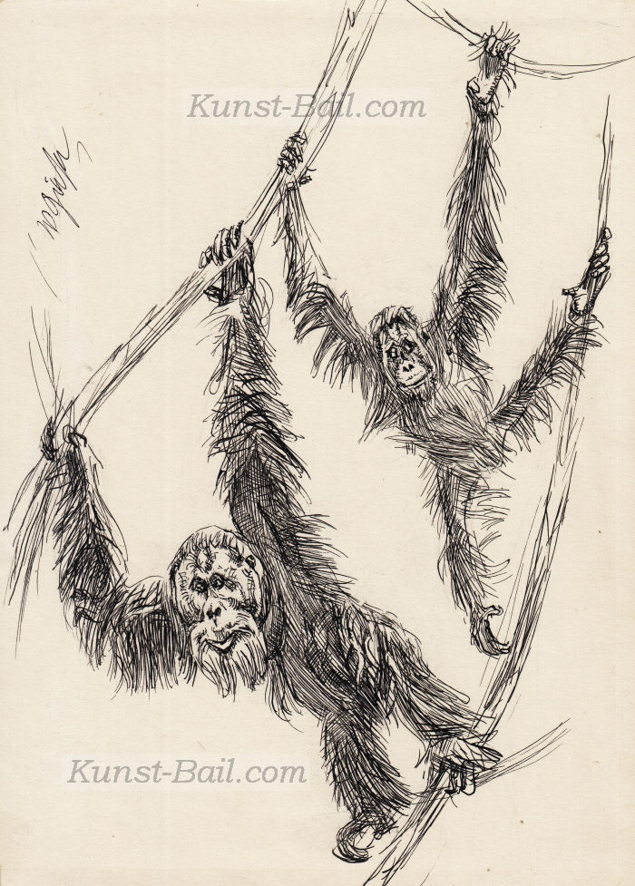 Wilhelm Giese, Orang Utans, Tuschfederzeichnung, signiert, um 1920-image