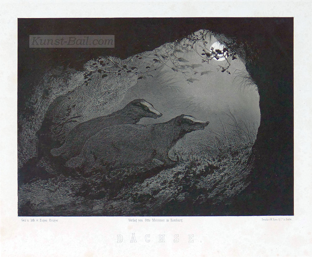 Eugen Krüger, Dachse, Lithographie, 1866-image