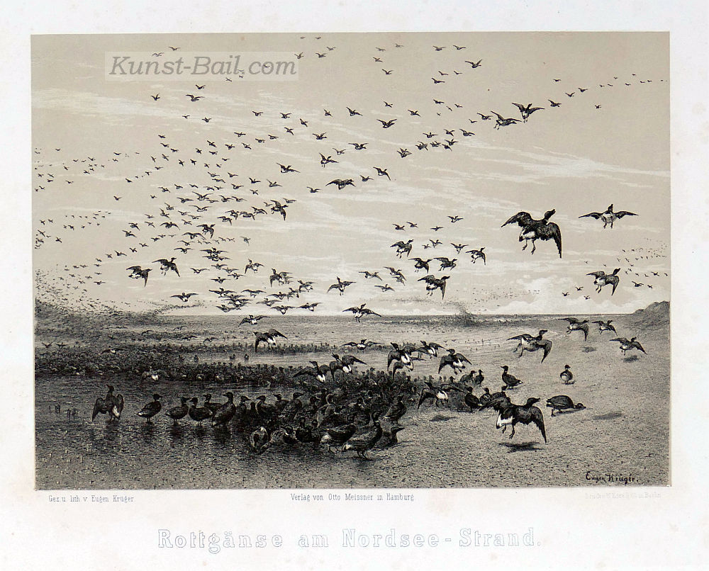 Eugen Krüger, Rottgänse am Nordseestrand, Lithographie, 1866-image