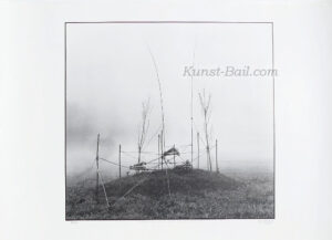 Nils Udo, Hommage à Gustav Mahler, Foto-Lithographie, signiert, betitelt, nummeriert, 1973-74, Widmung-image