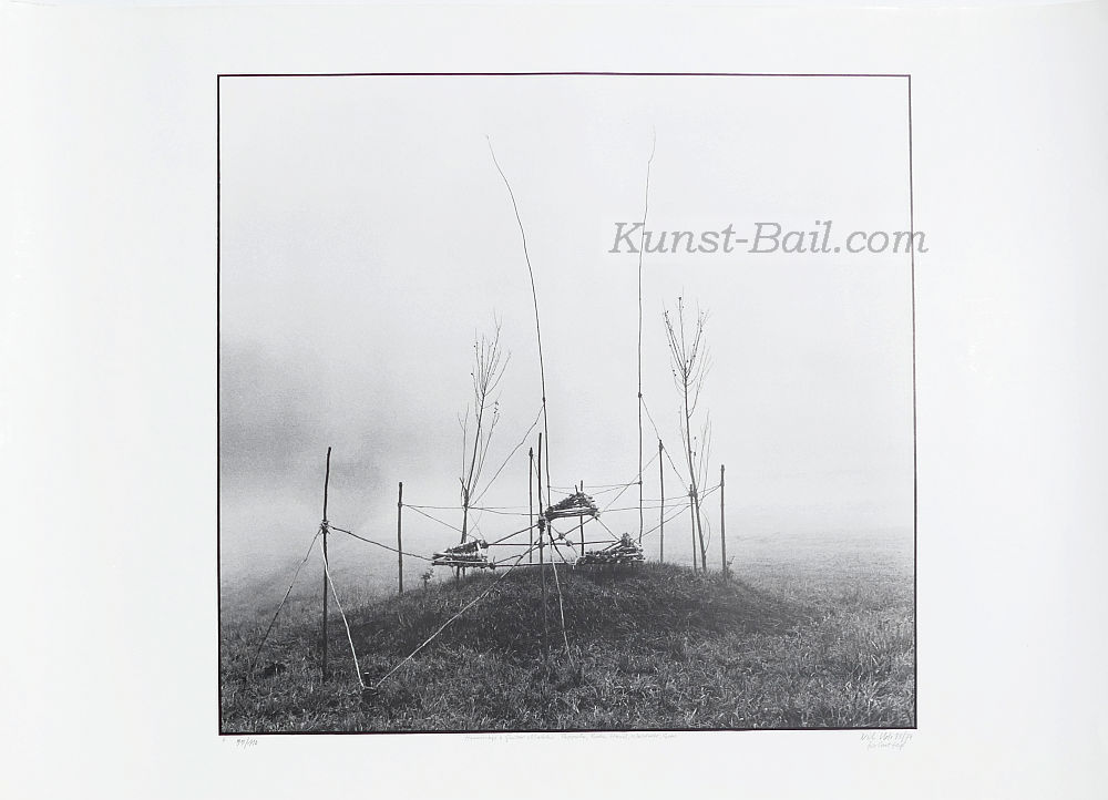 Nils Udo, Hommage à Gustav Mahler, Foto-Lithographie, signiert, betitelt, nummeriert, 1973-74, Widmung-image