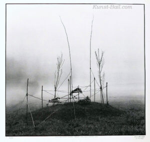 Nils Udo, Hommage à Gustav Mahler, Foto-Lithographie, signiert, betitelt, nummeriert, 1973-74, Widmung-image