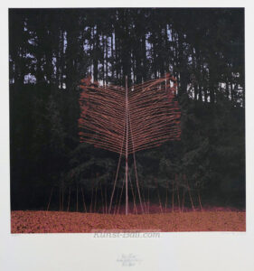 Nils Udo, März-Altar, Esche, Waldrebe, Schilf, Foto-Lithographie, signiert, betitelt, nummeriert, 1981, Widmung-image