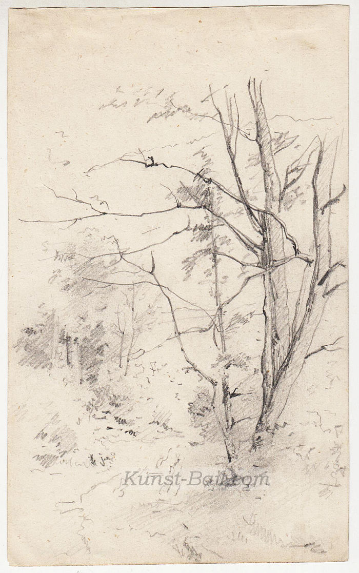 Josef Büche, 2 Skizzenblätter, Naturstudien, Bleistift, um 1890-image