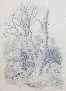 Unbekannter Künstler, Baumstudie, Kohle, 1883-image