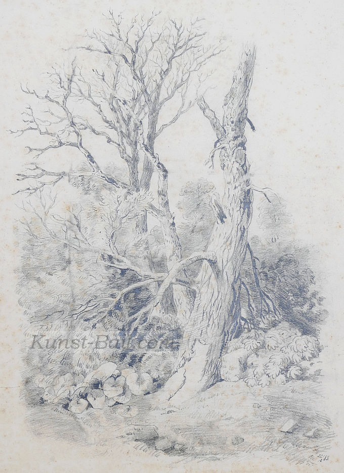 Unbekannter Künstler, Baumstudie, Kohle, 1883-image